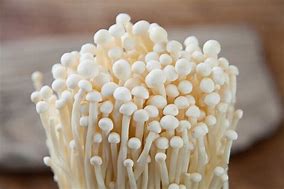 因卫生条件问题，美国FDA将我国一家食品企业列上自动扣留名单99-35