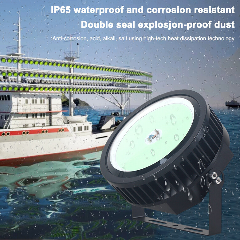 Luring Fishing Light (3)