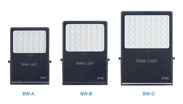 Solar Flood Light  (5)