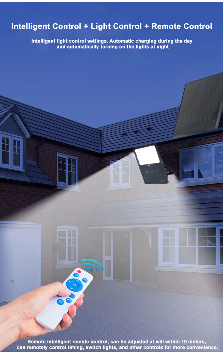 Solar Flood Light  (6)