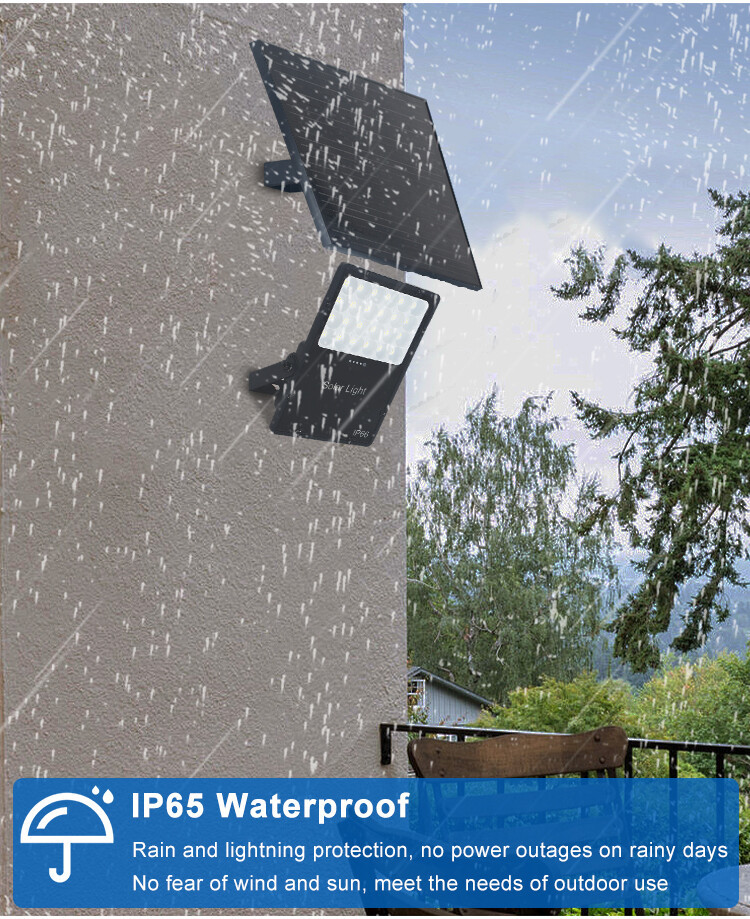 Solar Flood Light  (7)