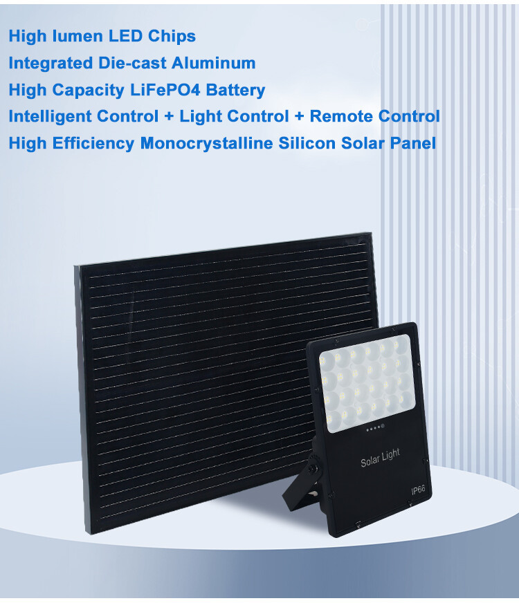 Solar Flood Light  (8)