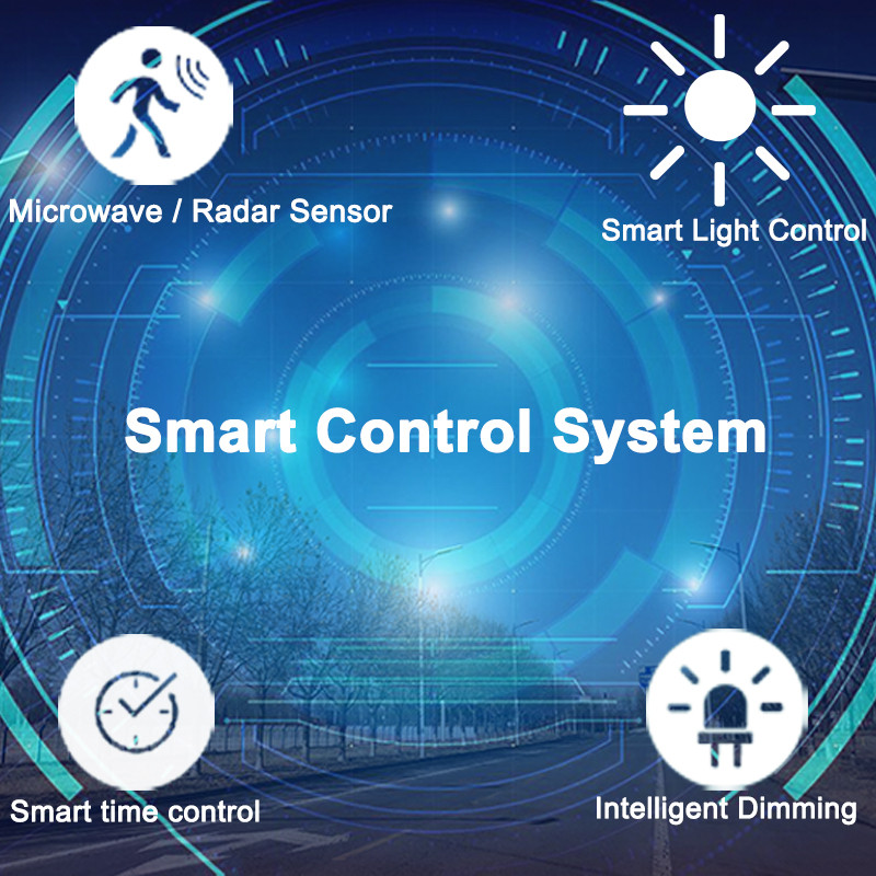 solar street light (12)