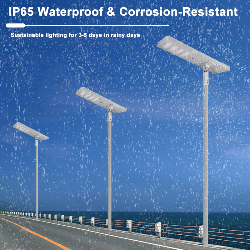 solar street light (7)
