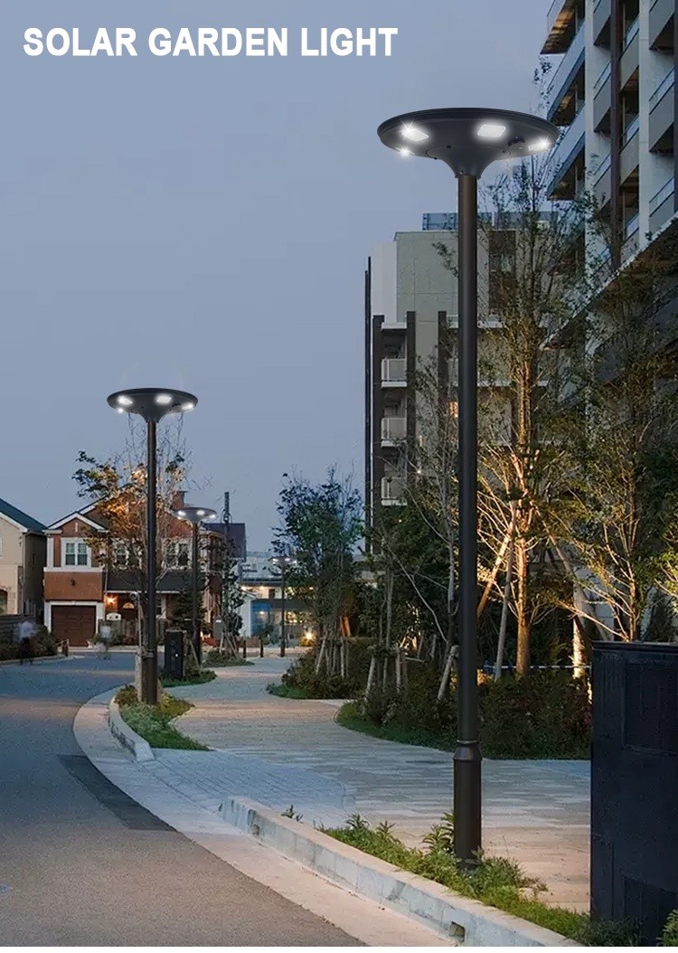 Solar Garden Light (1)