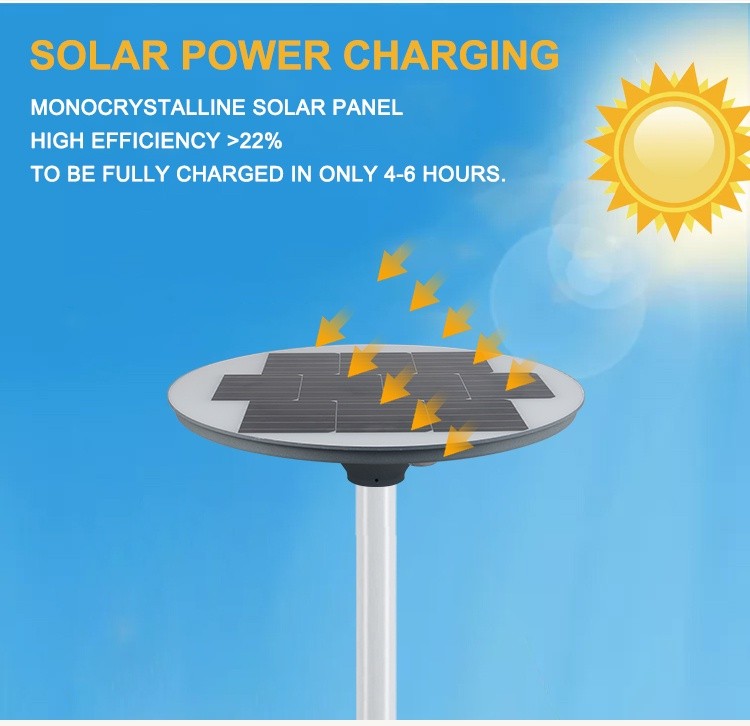 Solar Garden Light (4)
