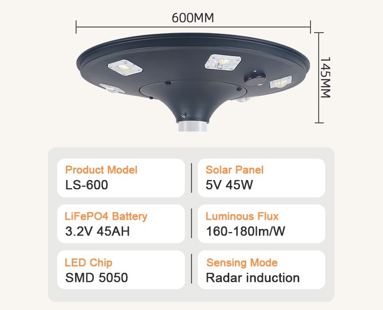 Solar Garden Light (7)