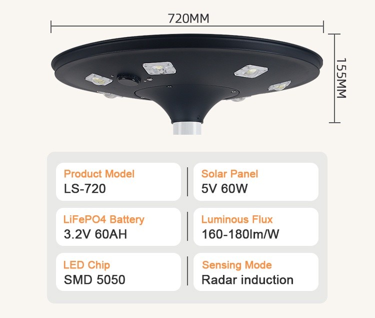 Solar Garden Light (8)