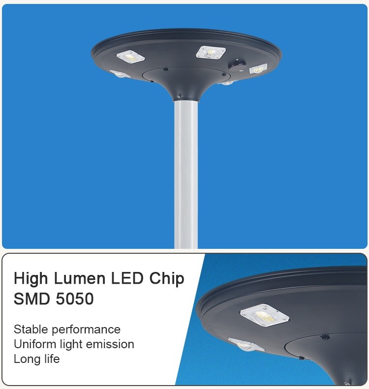 Solar Garden Light (9)