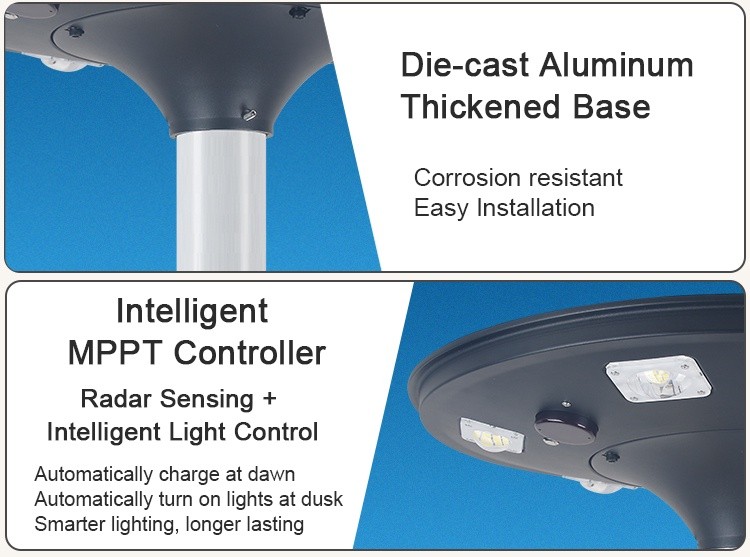 Solar Garden Light (10)