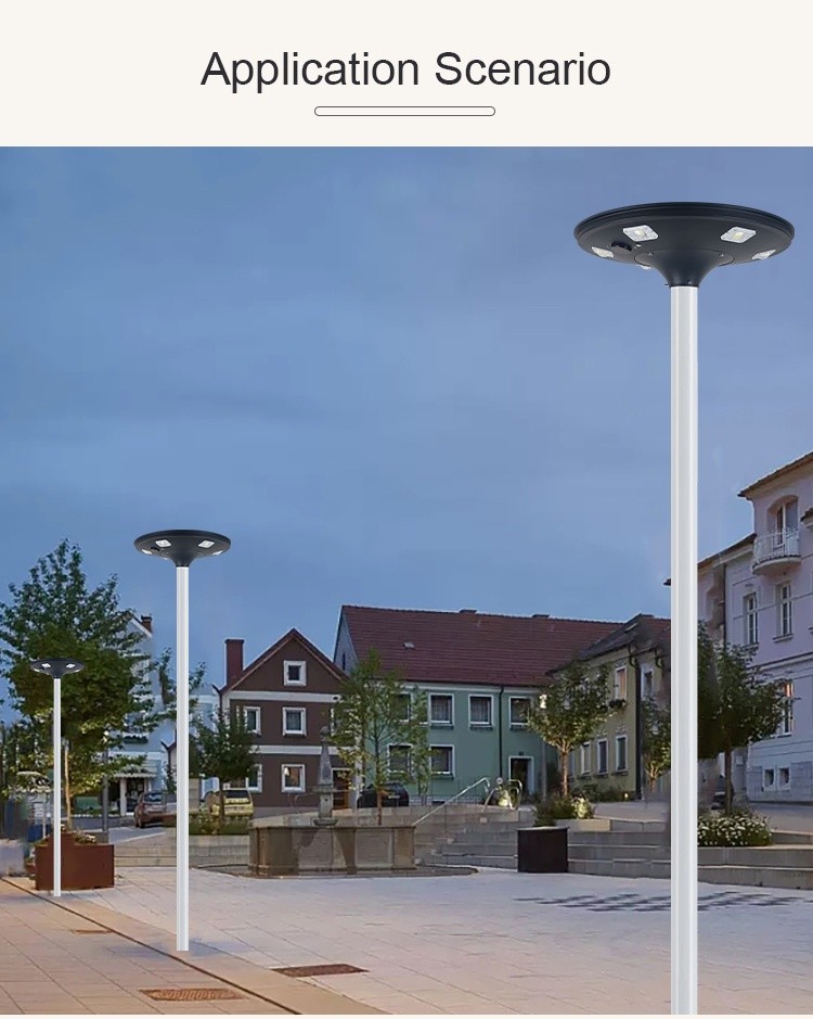 Solar Garden Light (11)