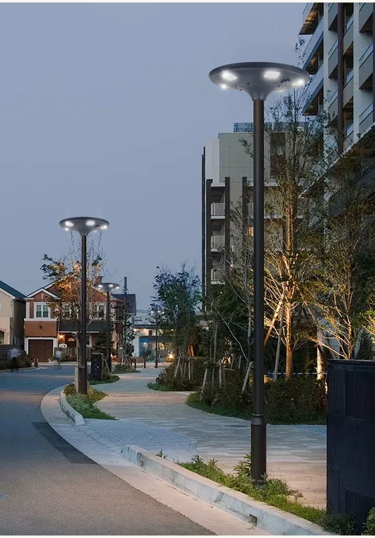 Solar Garden Light (12)