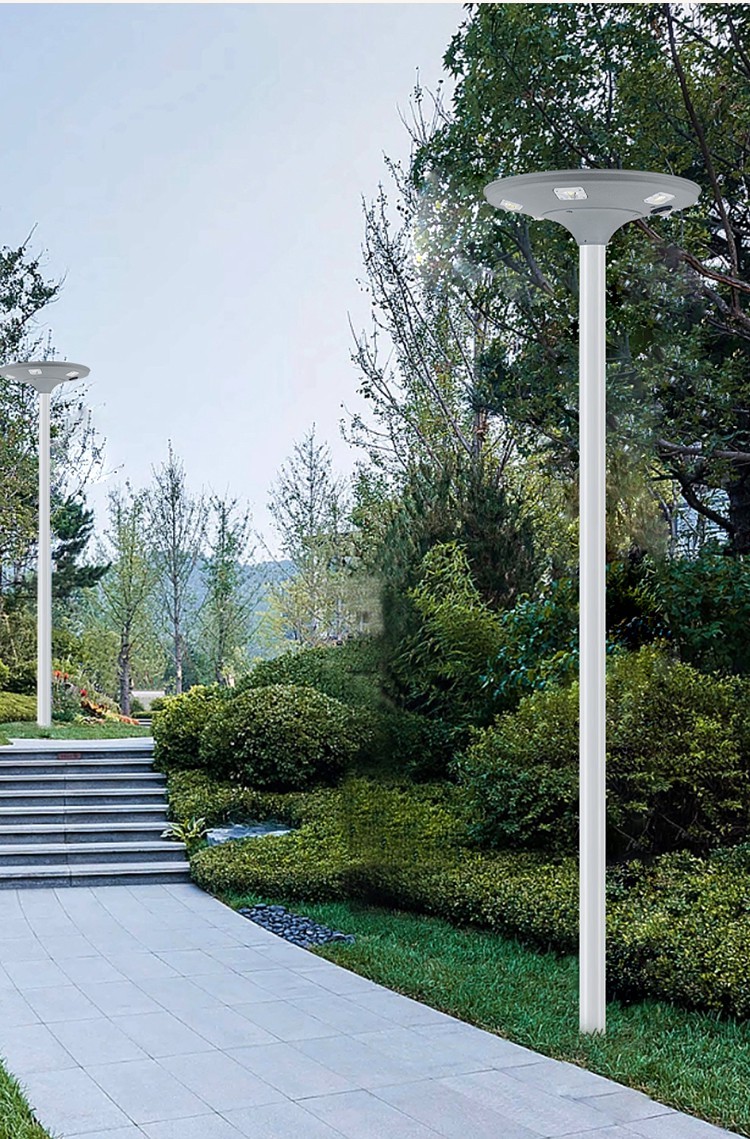 Solar Garden Light (13)