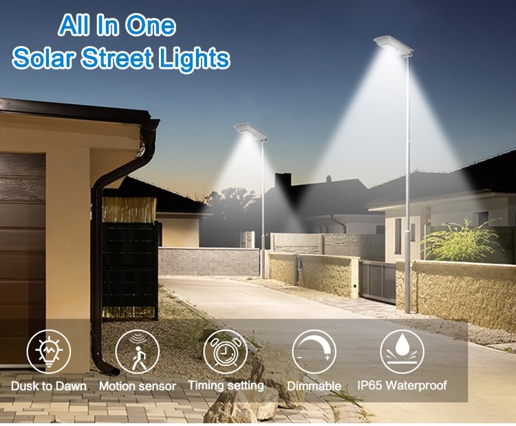 solar street light (1)