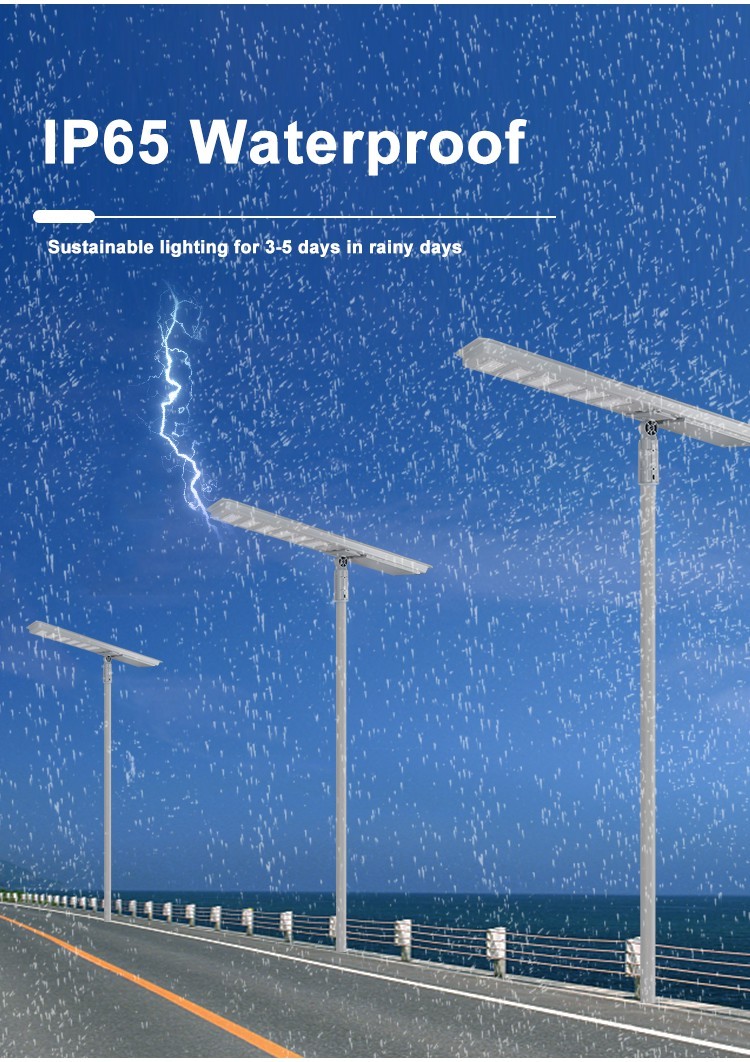 solar street light (13)