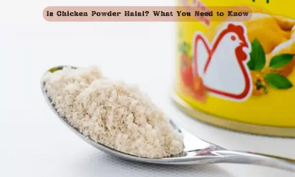 Bokirish va qichqiriq bilan qopol jinsiy aloqa Onlayn videolarni tomosha qiling