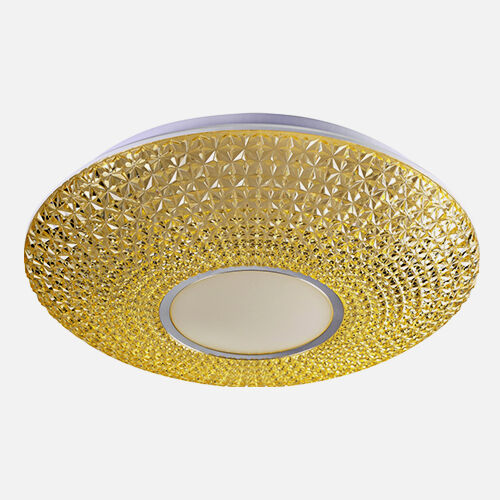 Flower Shape LED Acrylic Ceiling Light
