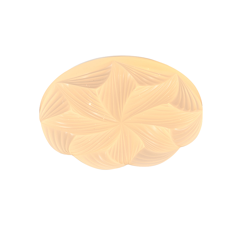 LED Acrylic Ceiling Light