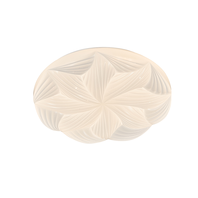 LED Acrylic Ceiling Light