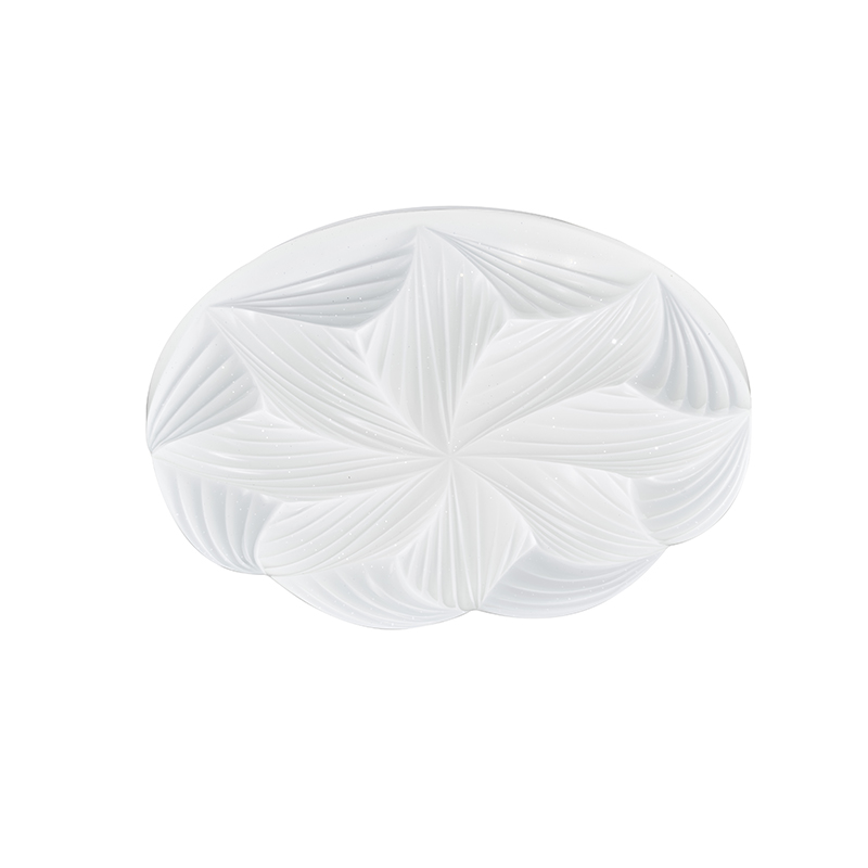 LED Acrylic Ceiling Light