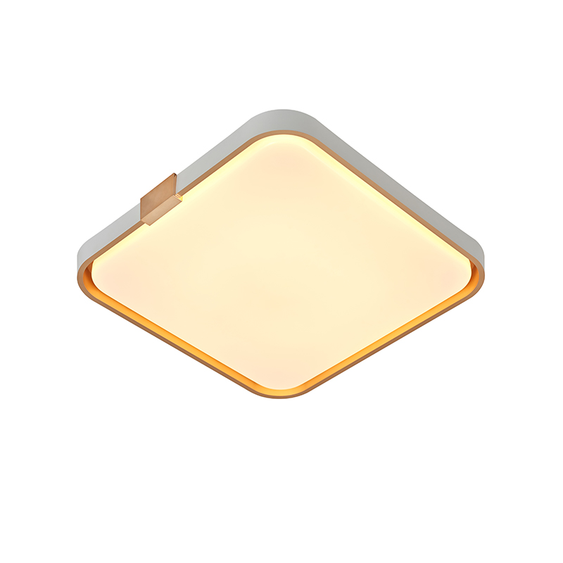 LED Acrylic Ceiling Light