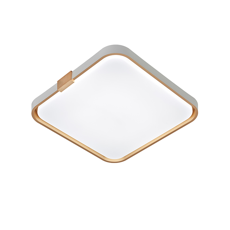 LED Acrylic Ceiling Light