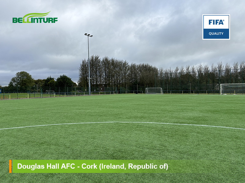 Douglas Hall AFC — Tái cấp FIFA Quality 2 lần