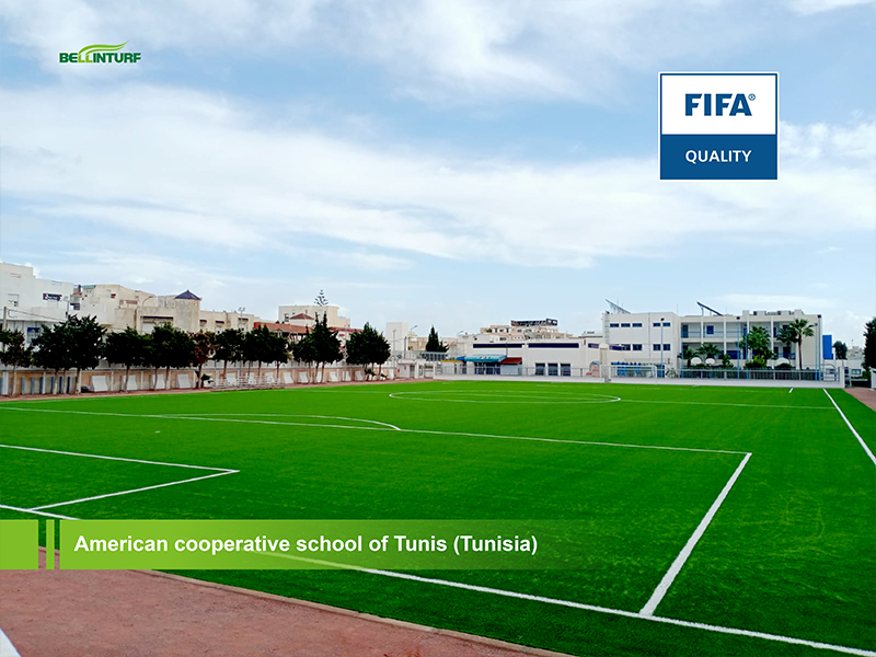 American Cooperative School — Tunisia