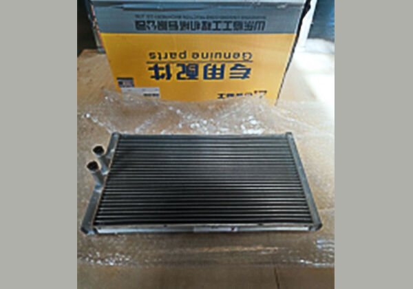 为我们东欧的大客户订购