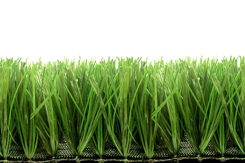 Bellin-Hybrid 60P Bellin-Hybrid 60P