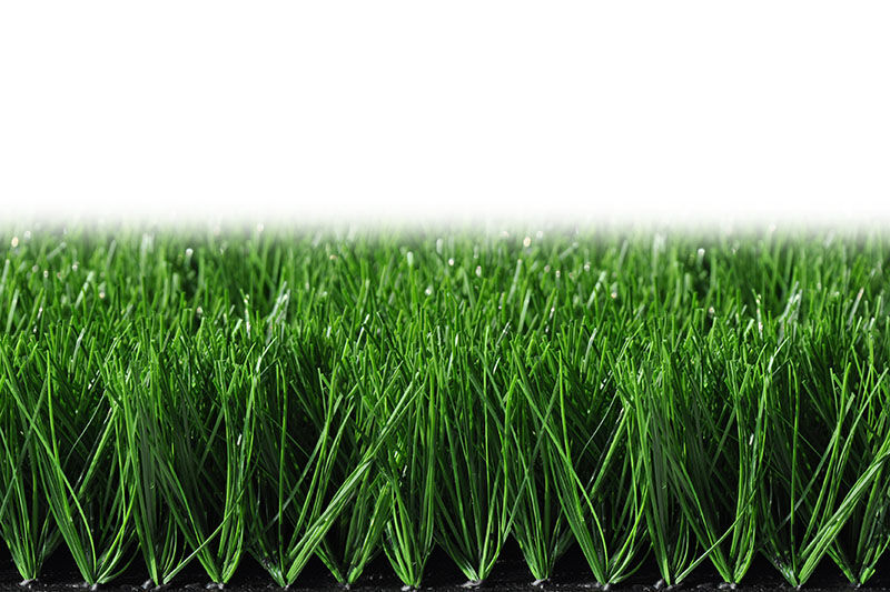 Bellin Evolution Bellin Evolution