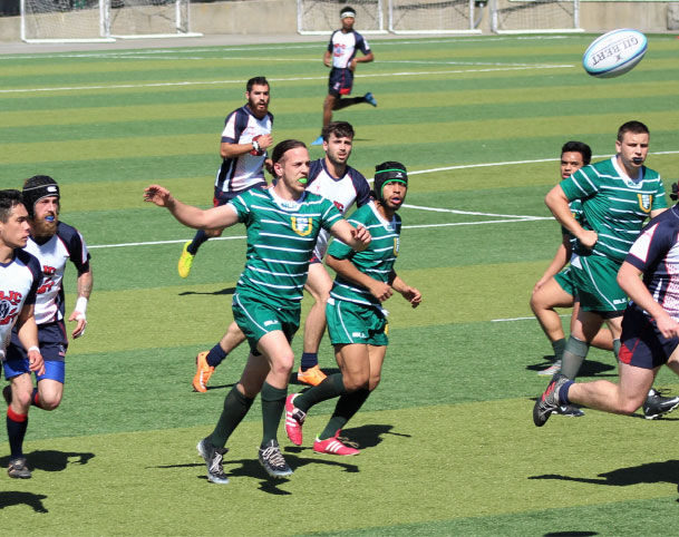 Rugby turf field Rugby turf field