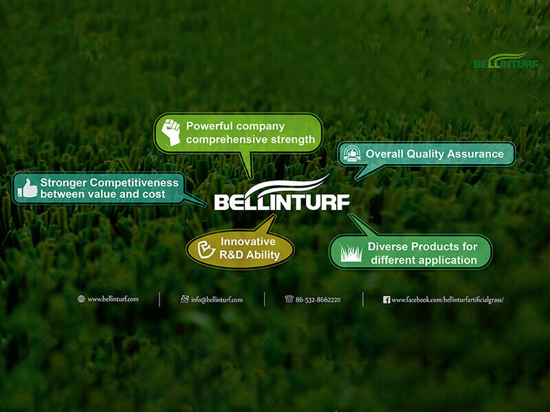 Why Bellinturf Why Bellinturf