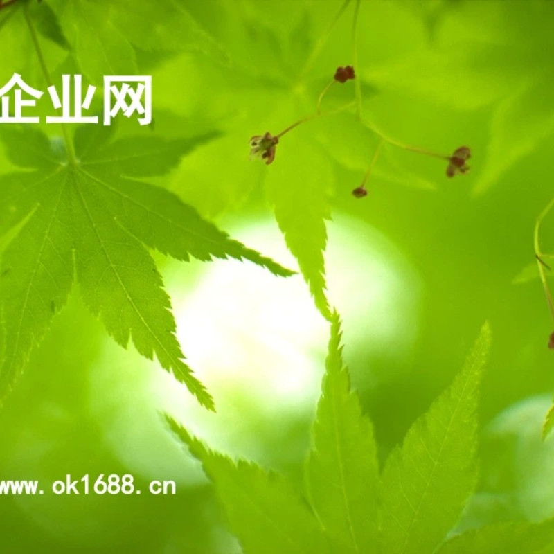 企业