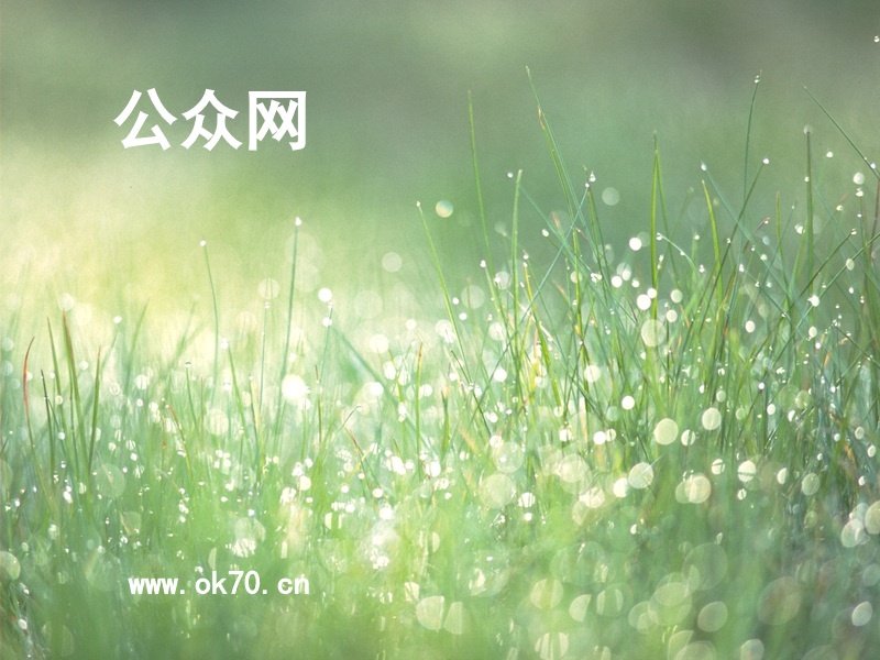公众