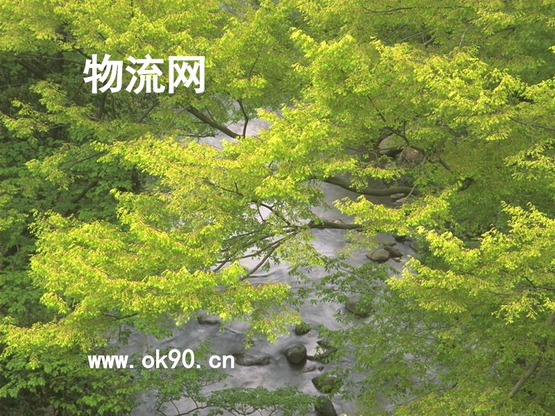 物流