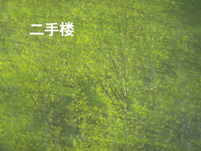 二手楼