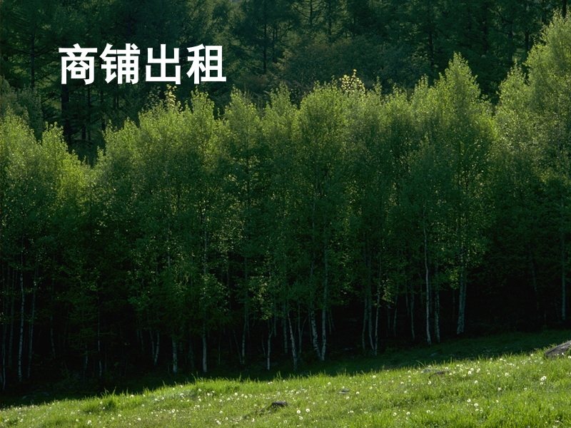 商铺出租