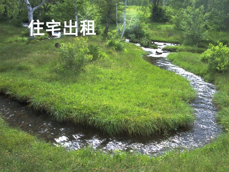 住宅出租