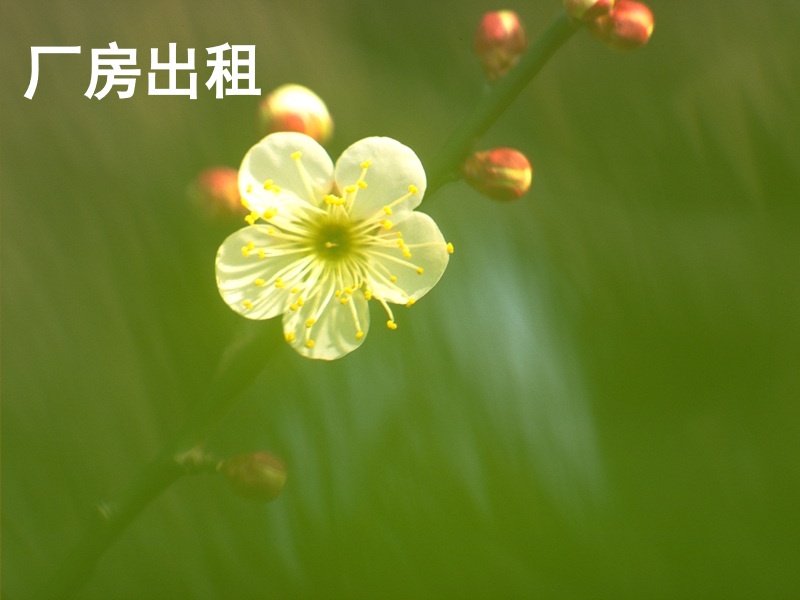 厂房出租