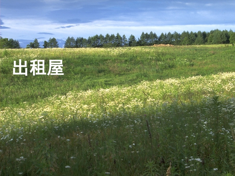 出租屋