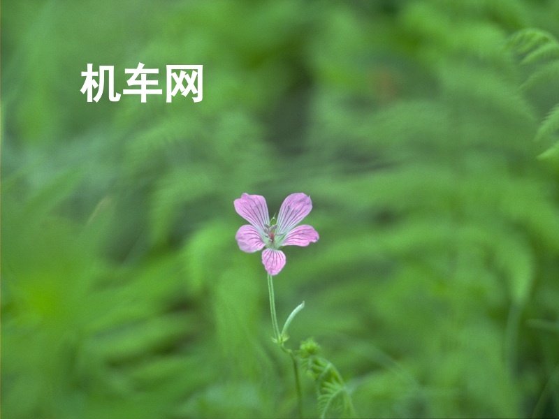 机车