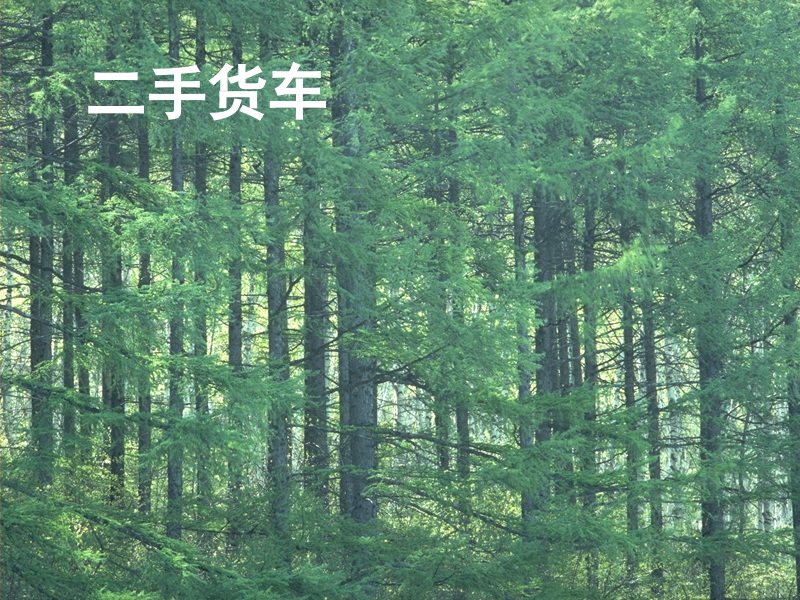 二手货车