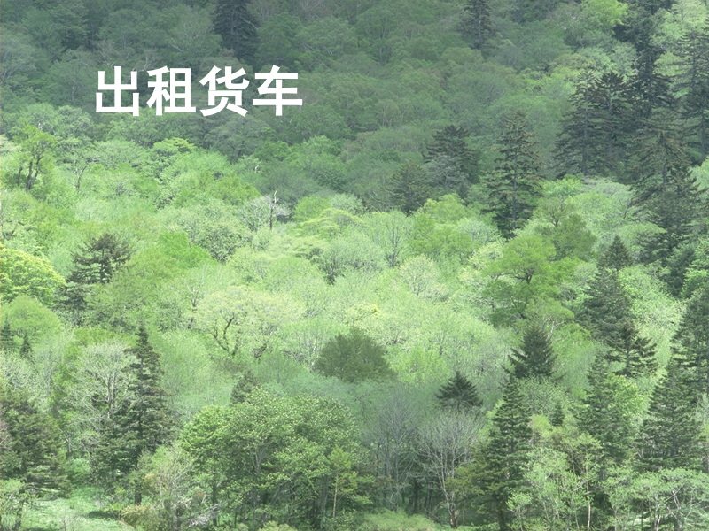 出租货车