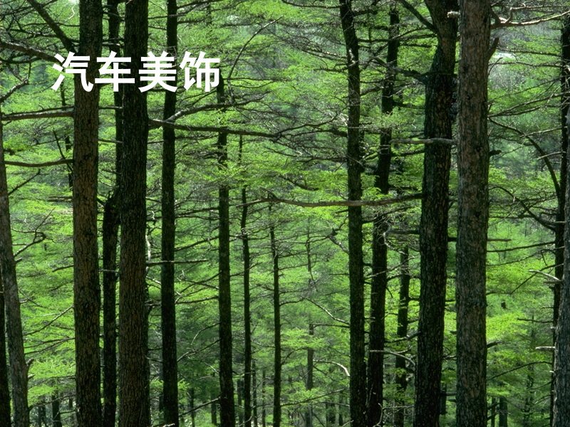 汽车美饰