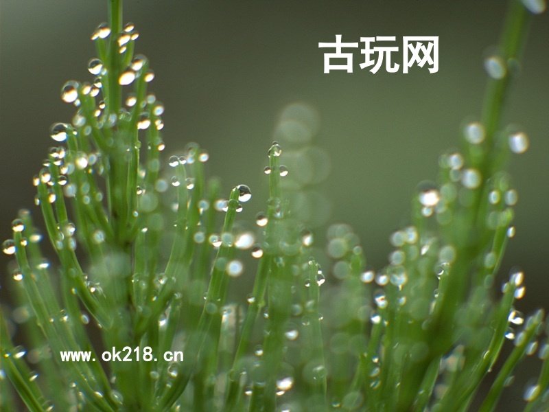 古玩