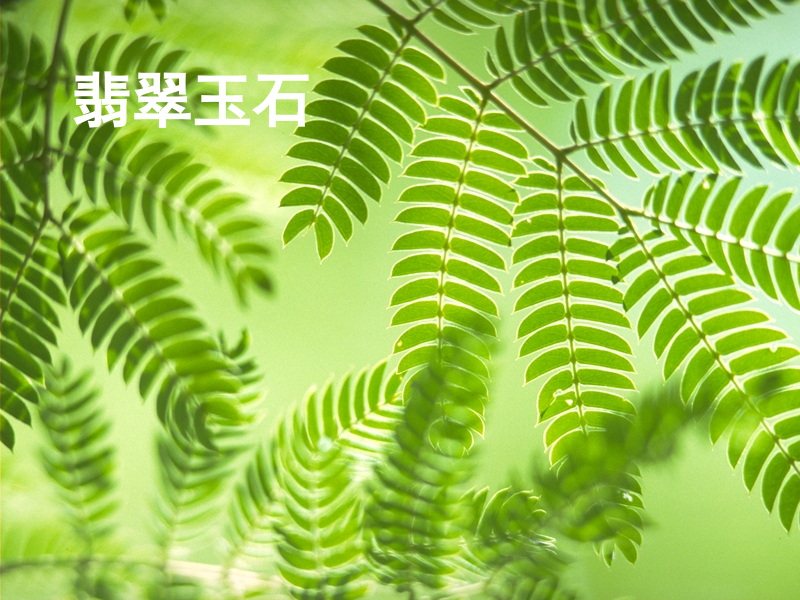 翡翠玉石
