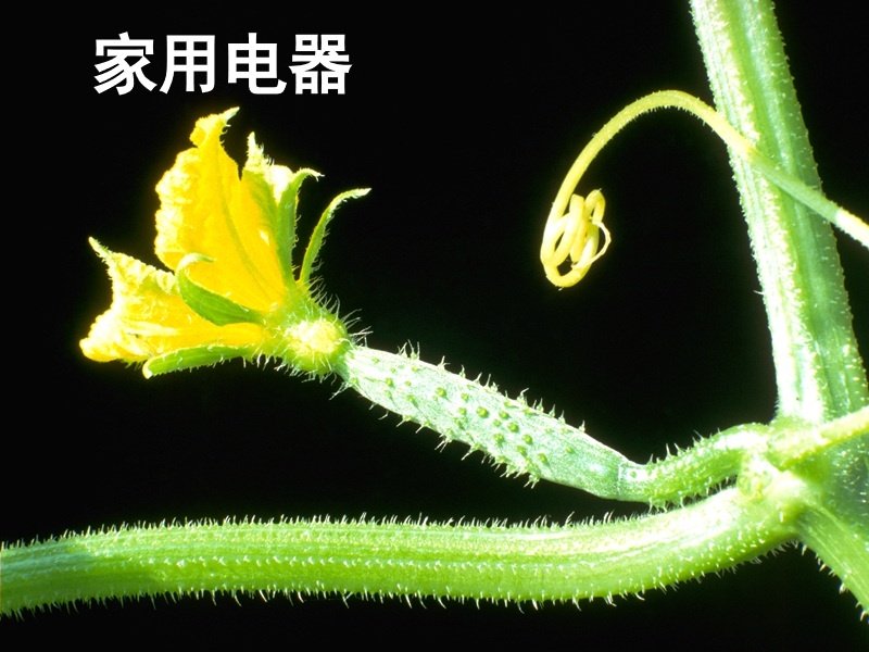 家电