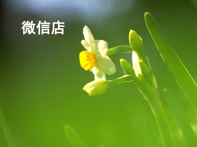 微信店