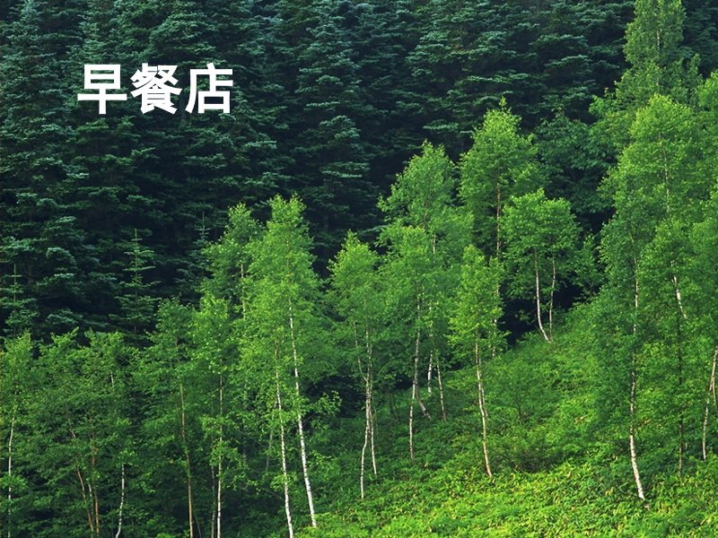 早餐